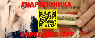 твердый Можга