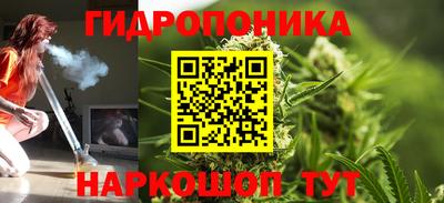 твердый Можга
