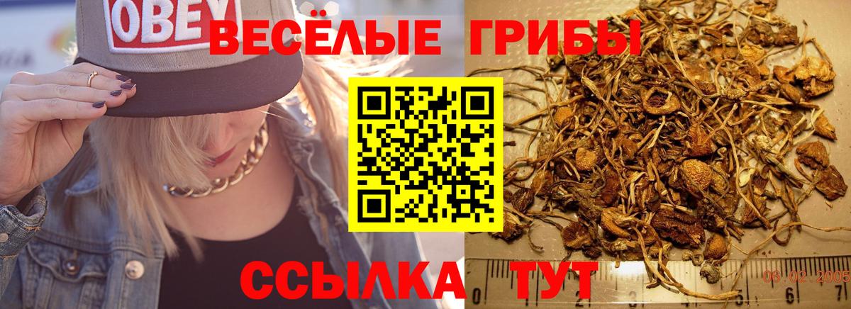 Галлюциногенные грибы MAGIC MUSHROOMS  Вход с VPN  наркошоп  Галлюциногенные грибы мицелий  Фрязино 